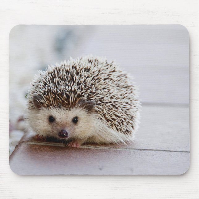 ouriço Fofo, Mouse Pad (Frente)
