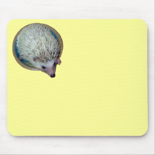 Ouriço Mousepad