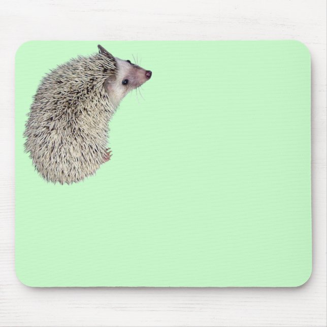 Ouriço Mousepad 2 (Frente)