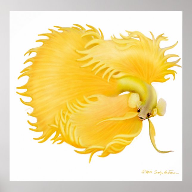 Ouro Betta Fish Poster (Frente)