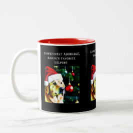 Ouro com chapéu de Papai Noel na caneca de café