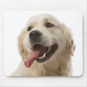 Ouro De Amor, Cachorro Cachorro Portraje Mousepad