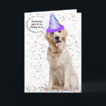 Ouro de aniversário para sempre no Cartão de Estre<br><div class="desc">Ouro retriever vestindo um chapéu de festa sobre fundo branco e estrelas coloridas confete por ter um humor de aniversário mais antigo.
A cor do plano de fundo pode ser alterada.</div>