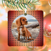 Ouro de Foto de Pet de Cão Elegante Flocos de Neve