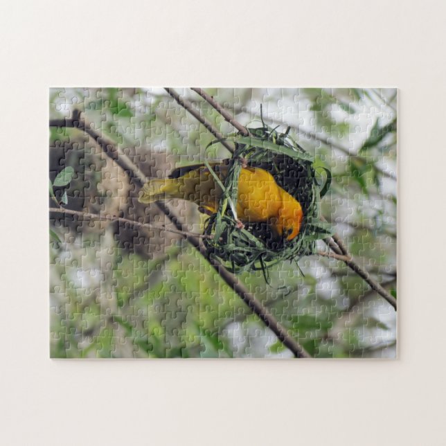 Ouro de Taveta Weaver Bird Quebra-cabeça (Horizontal)