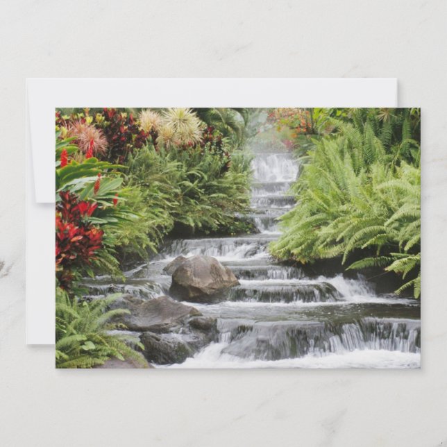 Ouro em cascata (Frente)