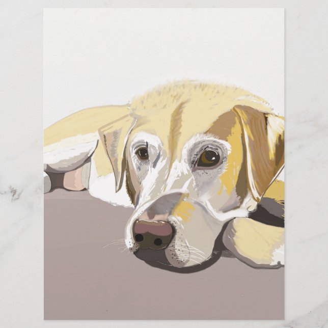 Ouro Labrador (Frente)