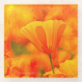 Ouro Orange California Poppy "Land Of Orange"