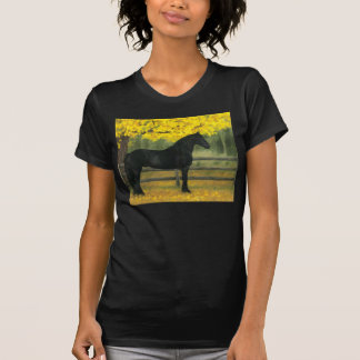 Ouro preto - camisa