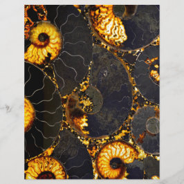 Ouro preto Elegante casca Nautilus