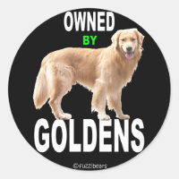 Ouro Retriever 'Detido Por Ouro adesivo preto