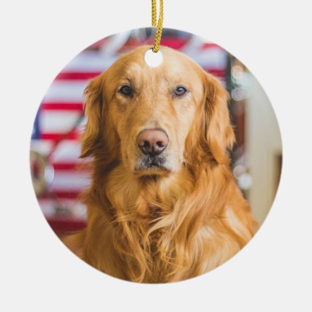 Ouro Retriever Enfeites de natal Adicionar Sua Fot (Frente)