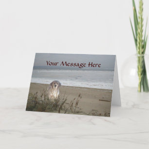 Ouro Retriever No Cartão De Saudação Da Praia