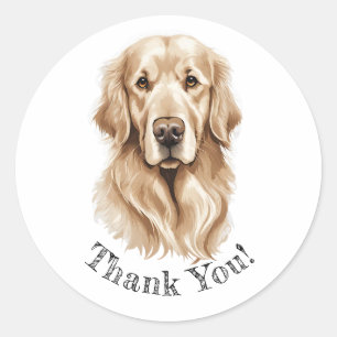 Ouro Retriever Obrigado! Adesivos