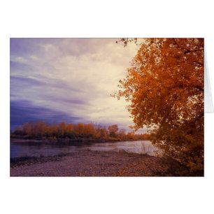 Outono Ao Longo Do Cartão De Nota Do Rio