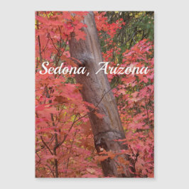 Outono em rosa em Sedona