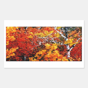 Outono na floresta - etiquetas da arte da pintura