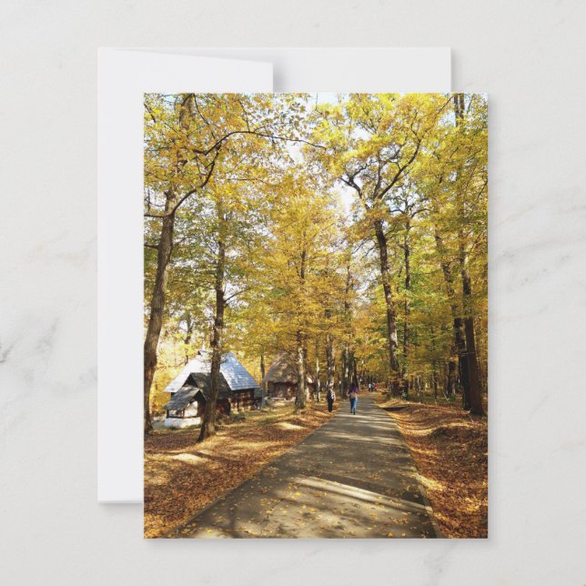 Outono no parque na Romênia (Frente)