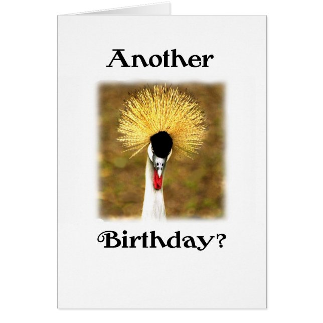 Outro Aniversário? Cartão para o cidadão Mais velh (Frente)