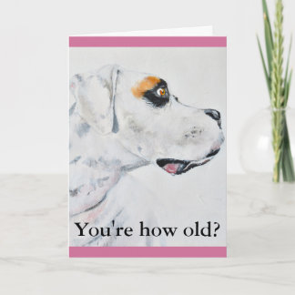 Outro cartão de aniversário mais velho, Boxer Dog