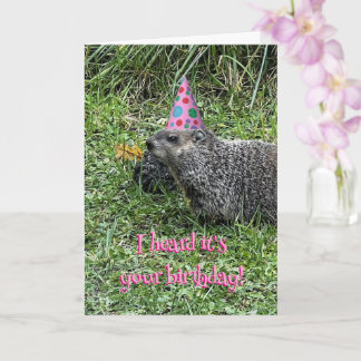 Ouvi dizer que é seu aniversário, cartões de marmo