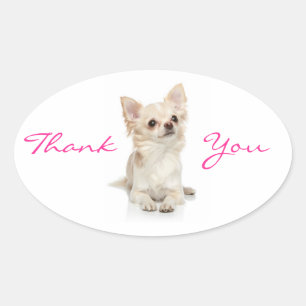Oval Adesivo Cachorro Chihuahua Obrigado