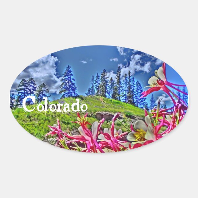 Oval Adesivo columbina do Colorado (Frente)