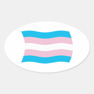 Oval Adesivo da Bandeira do Orgulho Transgênero