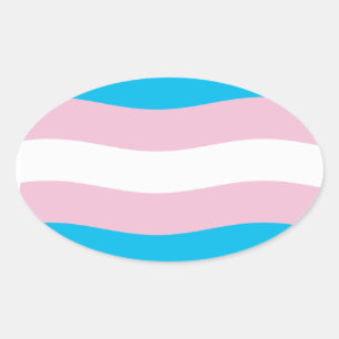 Oval Adesivo da Bandeira do Orgulho Transgênero
