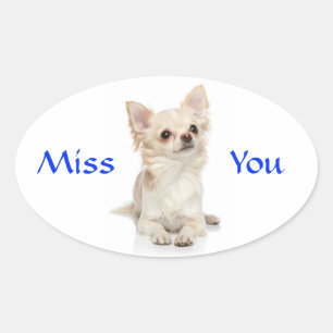 Oval Adesivo de Cachorrinho Chihuahua Saudade