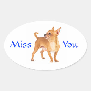 Oval Adesivo de Cachorrinho Chihuahua Sinto Sua Falta