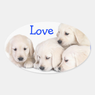 Oval Adesivo de Filhotes de Labrador Retriever Amor