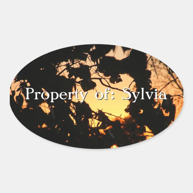 Oval Adesivo de folhas solares (Frente)
