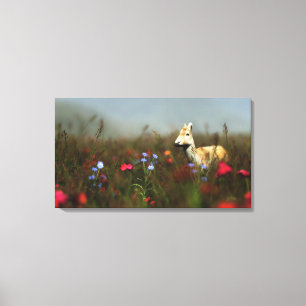 Ovas em um impressão das canvas do prado