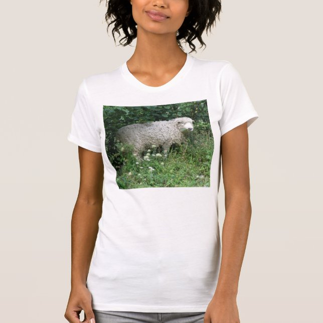 Ovelhas Bonitas, Flores, Que Comem Camisa (Frente)