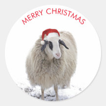 OVELHAS COM ADESIVOS PERSONALIZÁVEIS DE CHAPÉU DO 