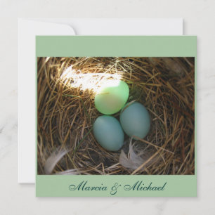 Ovos de Bluebird por três vezes