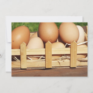 ovos de galinha naturais por país