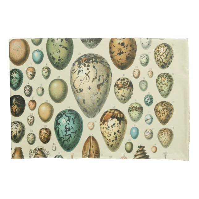 Ovos de Pássaros Antigos Arte de Ovos de Peixe Fra (Frente)