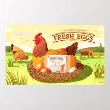 Ovos Orgânicos Frescos da Fazenda Mercado de Compr