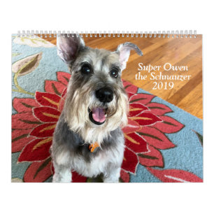 Owen super o calendário do Schnauzer 2019