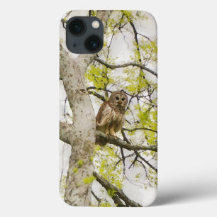 Owl Art Wild Nature Capa de telefone