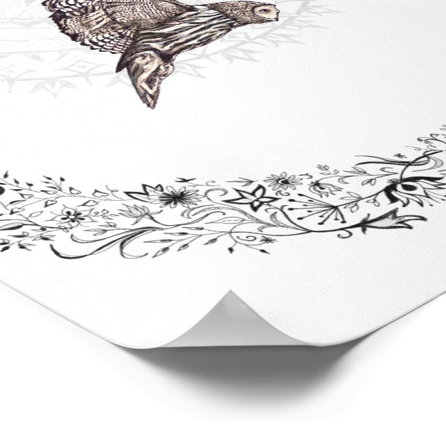 Owl Dreams 8x10 Impressão (Borda)