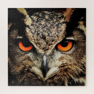 Owl Eyes Jigsee Quebra-cabeça