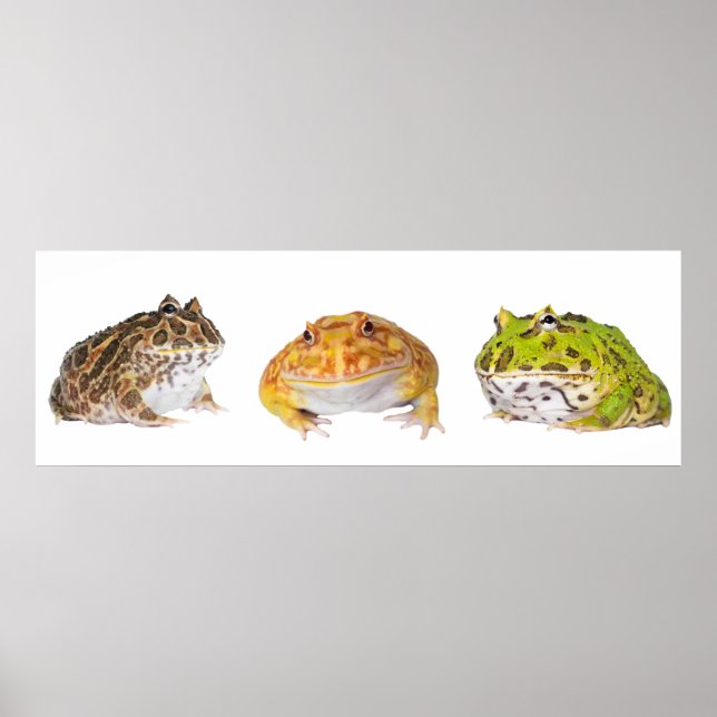 Pacman Poster Panorama (Frente)