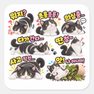 Pacote de Adesivos de Gato Tuxedo Coreano Engraçad