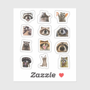 Pacote de Adesivos Engraçados do Meme de Guaxinim