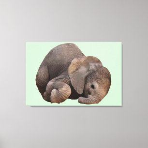 Pacote de Arte Canvas de Alegria