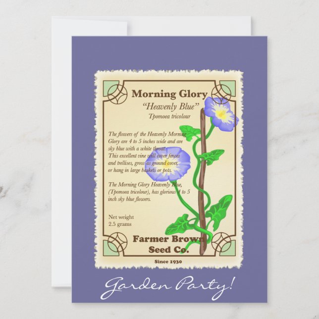 Pacote de Sementes Glória da Manhã (Frente)