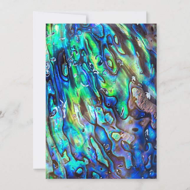 Padrão 1 de shell Abalone Paua da Nova Zelândia (Frente)